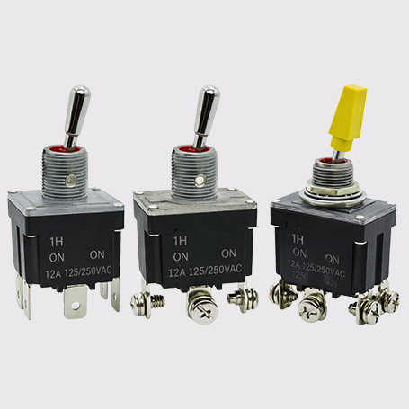 Toggle Switch